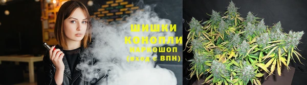 PSILOCYBIN Армянск