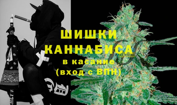 кокс Арсеньев