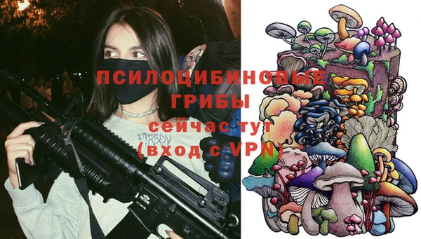 кокс Арсеньев