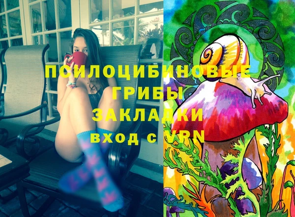 PSILOCYBIN Армянск